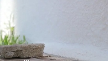 E-Girl Fortnite Bomber Bj Royale