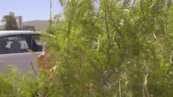 I Have No Idea Why, But I Have A Soft Spot For The Almost Eccentric And Strange Characters That Come Through My Office Door