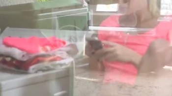 Pov Doggystyle With Big Ass And A Facial