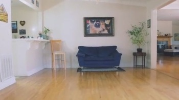 The Lord And His Clumsy Maid -Trailer - Mollyredwolf